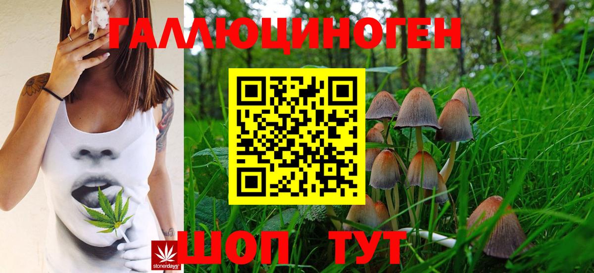 Вязьма  Псилоцибиновые грибы мицелий  Вход с VPN  Псилоцибиновые грибы прущие грибы 