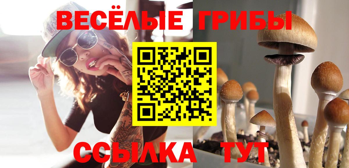 Галлюциногенные грибы Magic Shrooms Вязьма